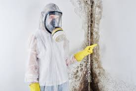 Best Forensic Mold Investigation in Anamosa, IA